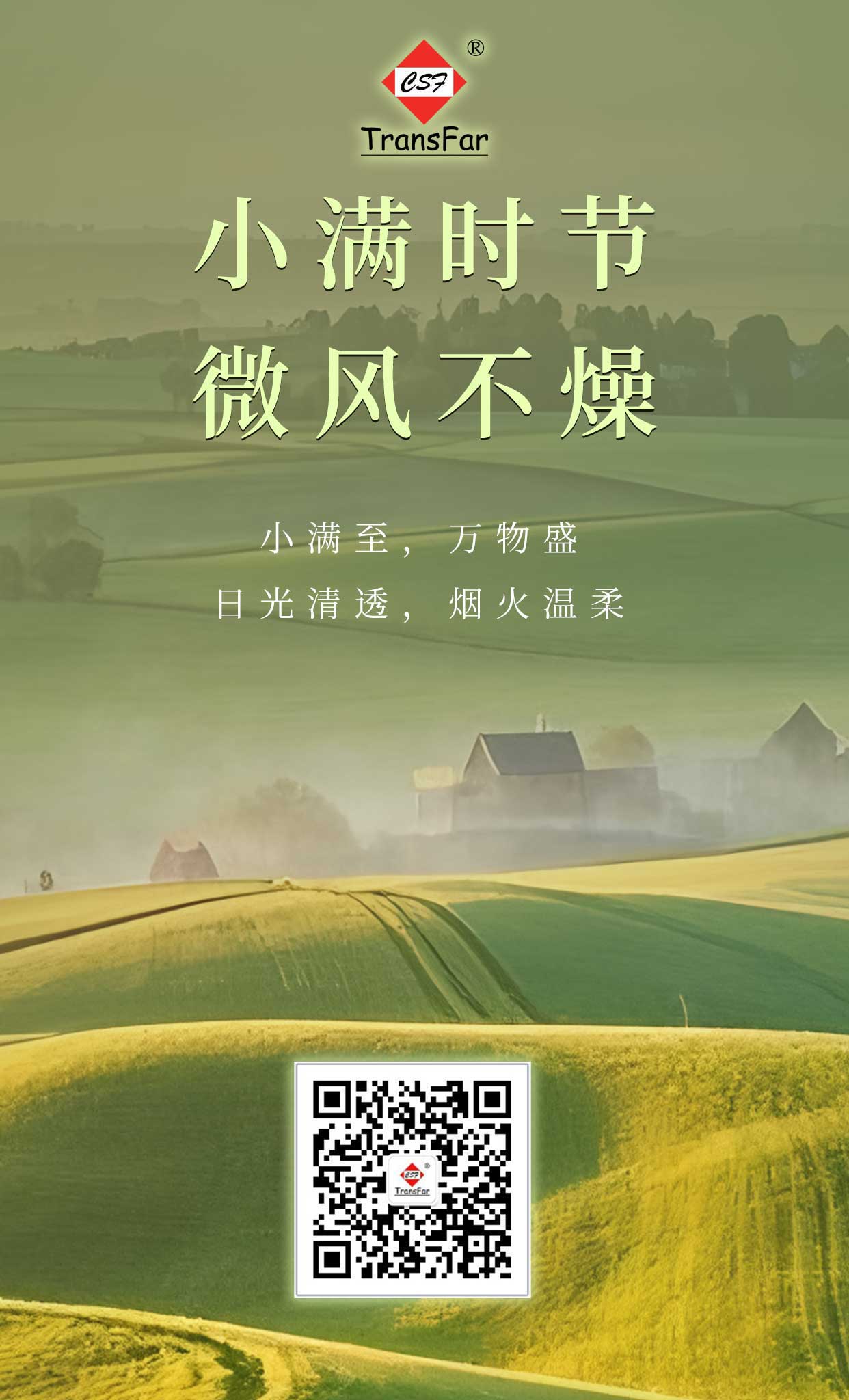 小滿節(jié)借勢宣傳海報.jpg